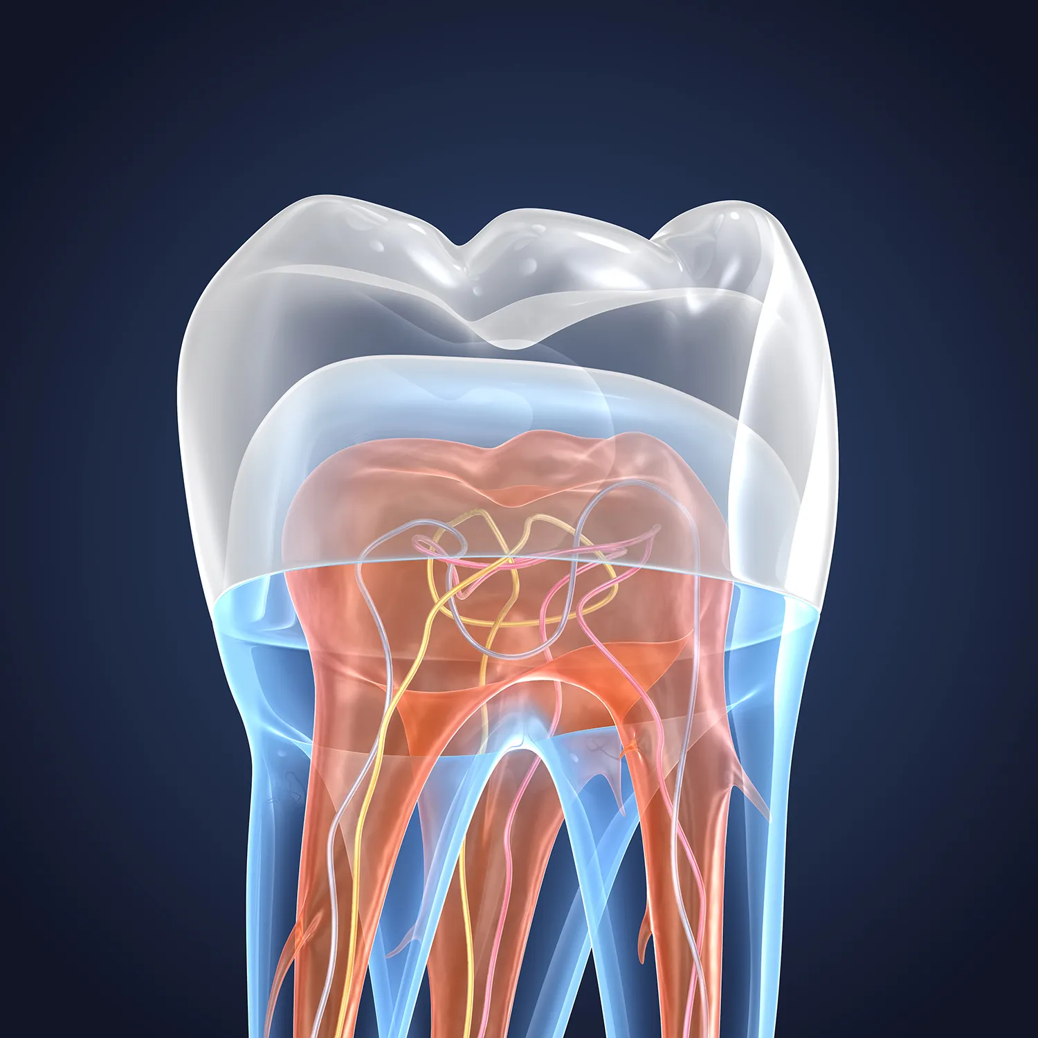 Endodonzia